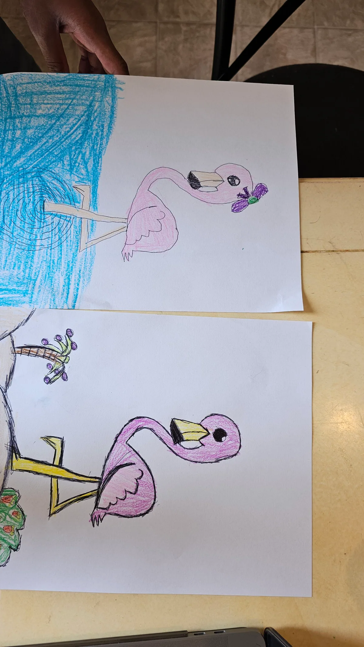 Two pink-flamingo drawings in pencil and crayon on white paper